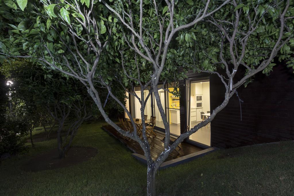 Quinta Das Rosas Villas Ribeira Grande Værelse billede