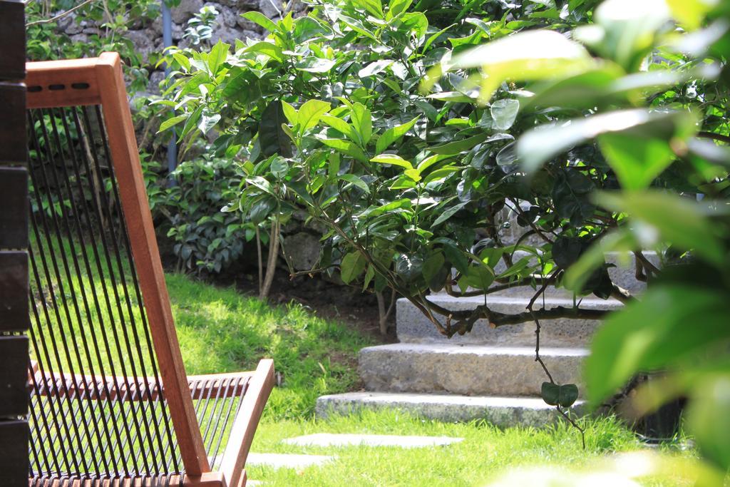 Quinta Das Rosas Villas Ribeira Grande Værelse billede